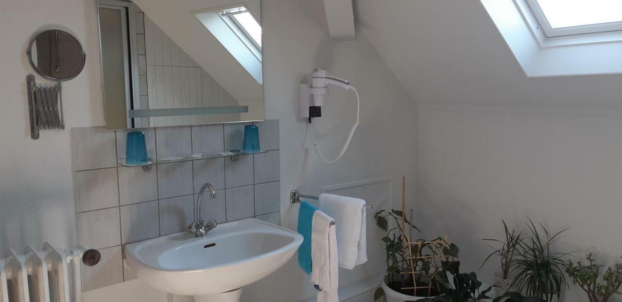Logis Hotel Le Cor D'Argent エクステリア 写真